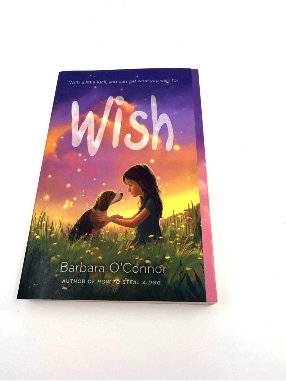 Wish - Paperback By O'Connor, Barbara - VERY GOOD - Children's Book - Animals